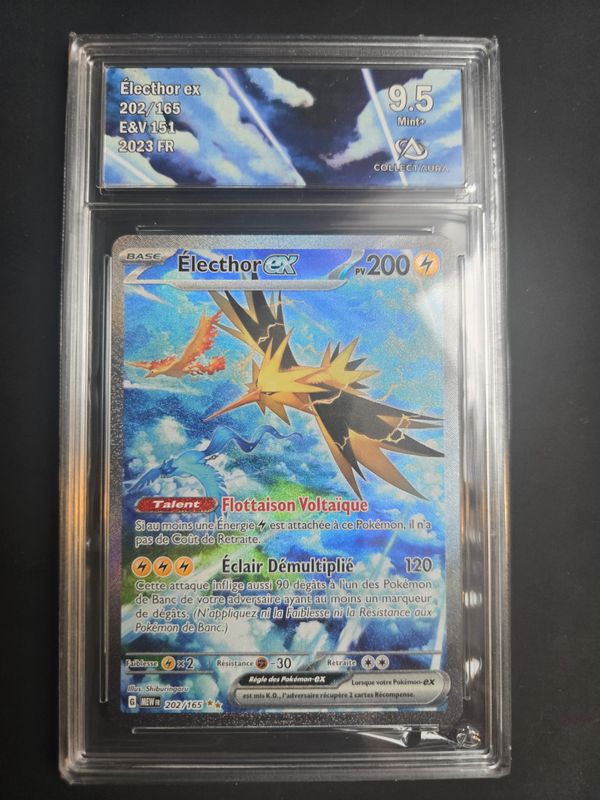 Électhor ex (MEW 202)