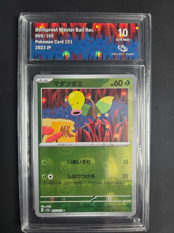 Chétiflor (xsv2a 069)