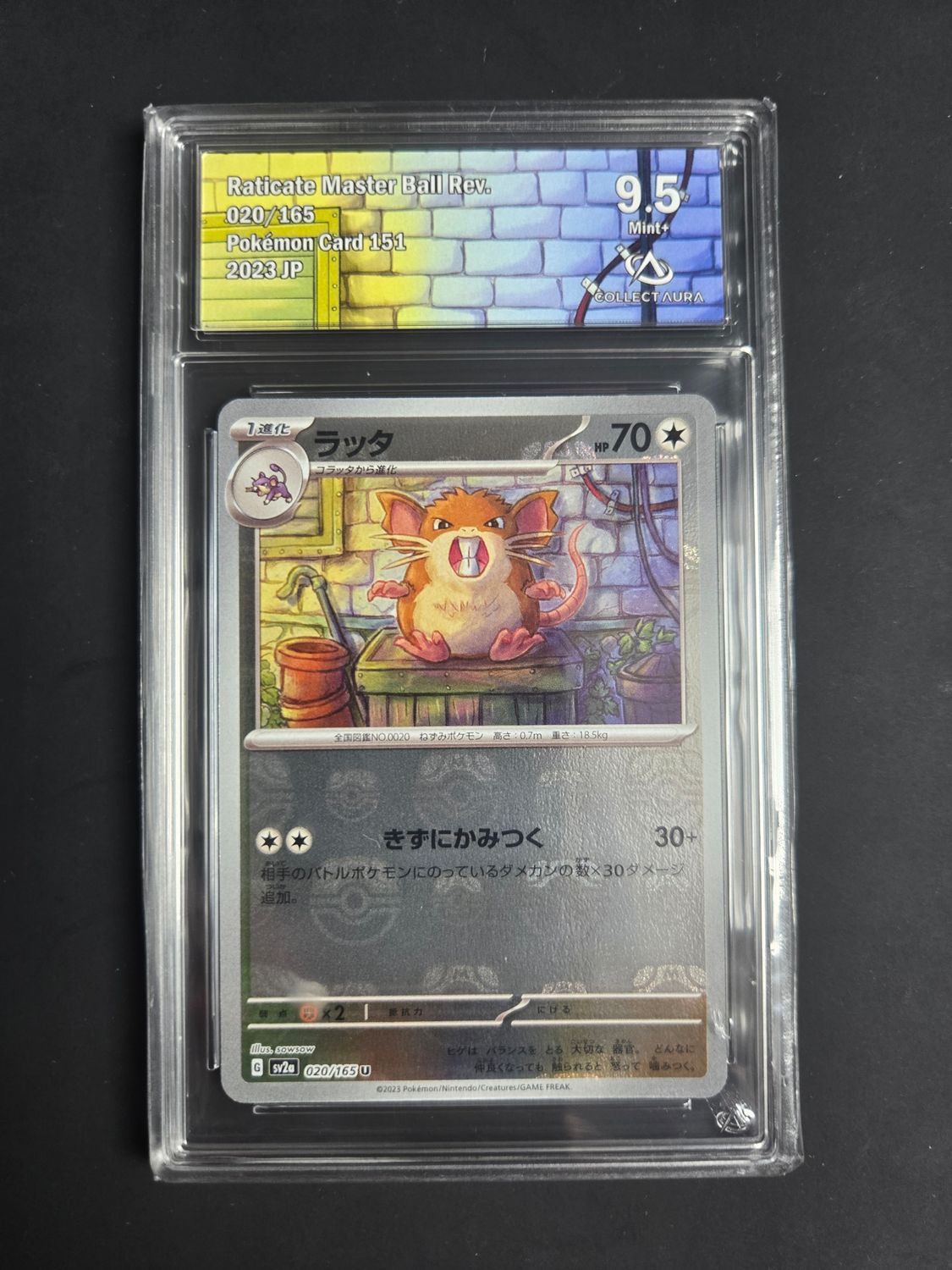 Rattatac (xsv2a 020)