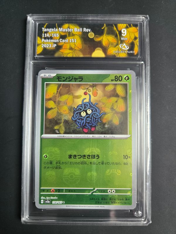 Saquedeneu (xsv2a 114)