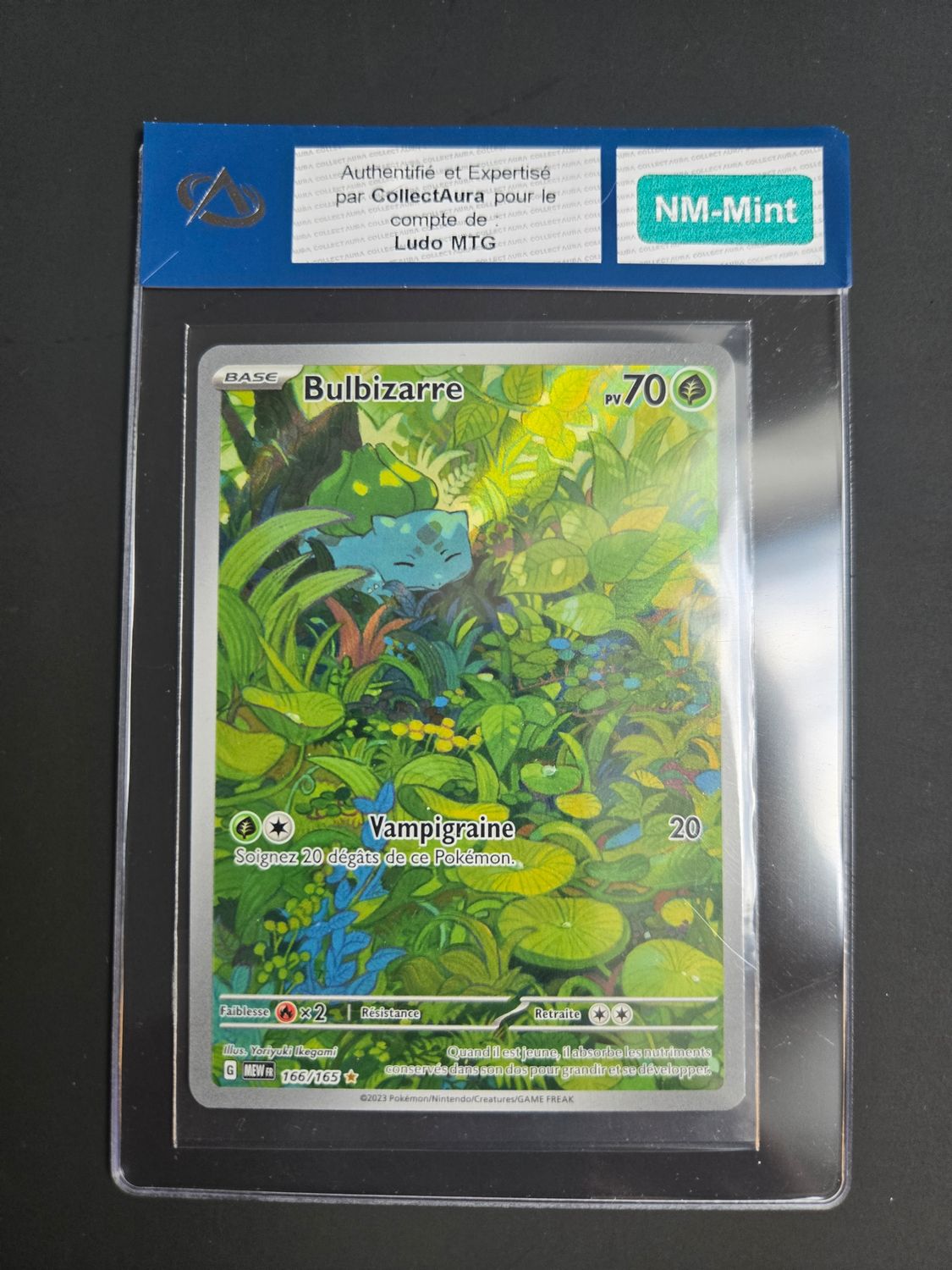 Bulbizarre (MEW 166)