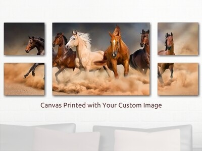 Canvas Wall Art | Covers Five Canvases