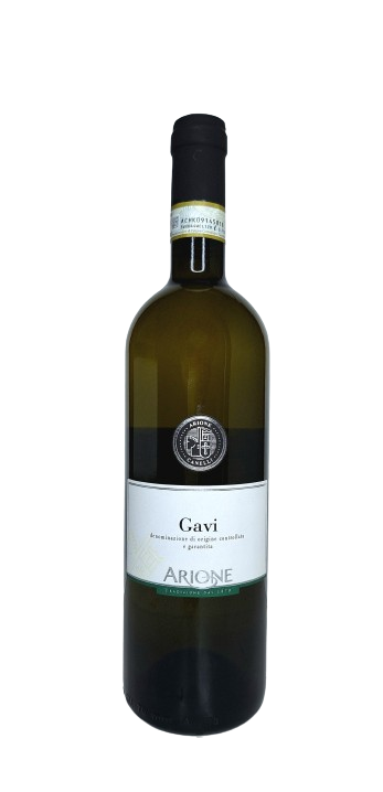ARIONE GAVI 2022