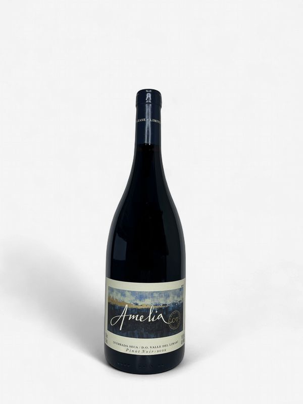 AMELIA PINOT NOIR 2022