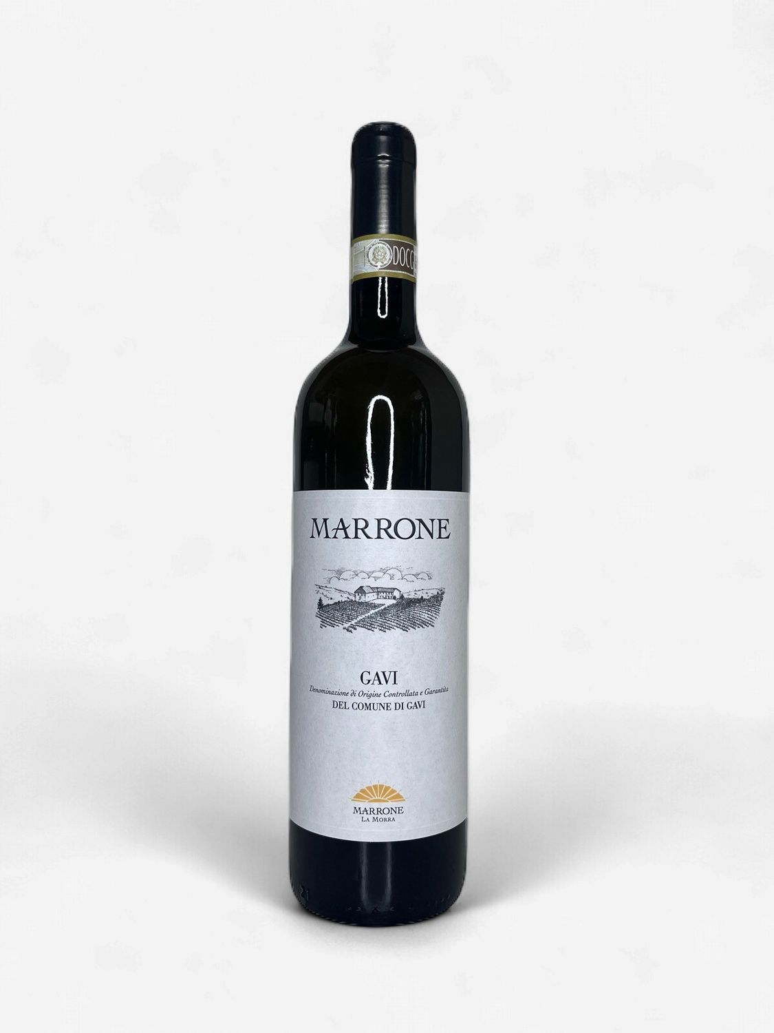 MARRONE GAVI 2024