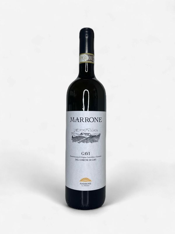 MARRONE GAVI 2024