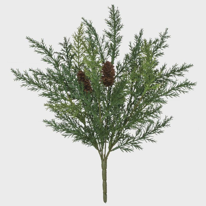 Aborvitae Bush