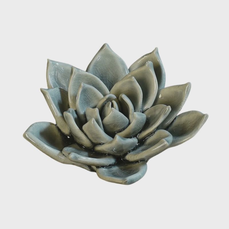 Ceramic Succulent