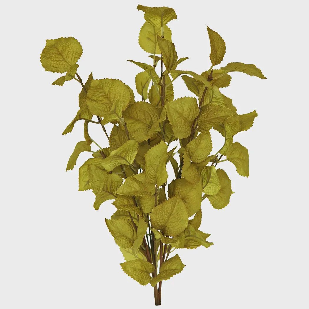 Leaf Bush