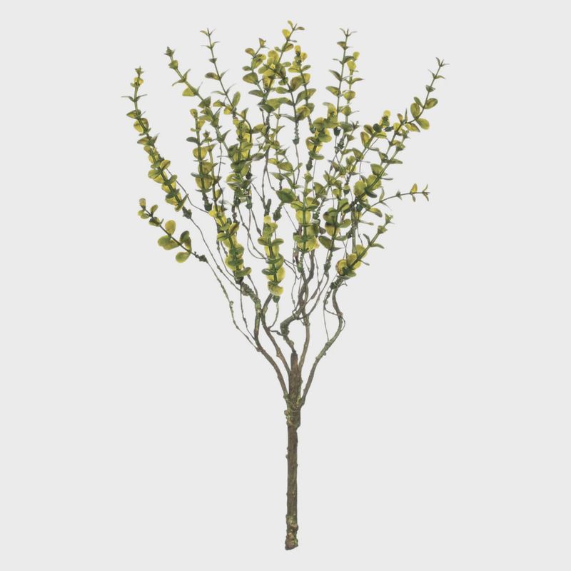 Leaves Bush