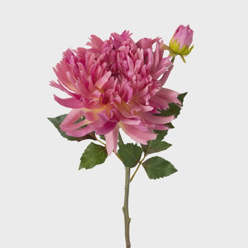 Dahlia Spray Purple