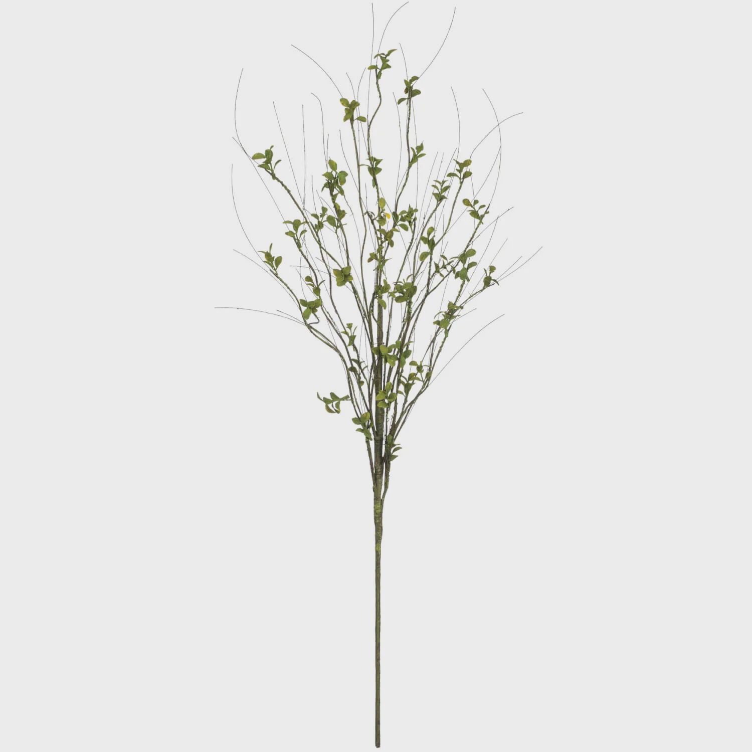 Leaf Foliage Spray