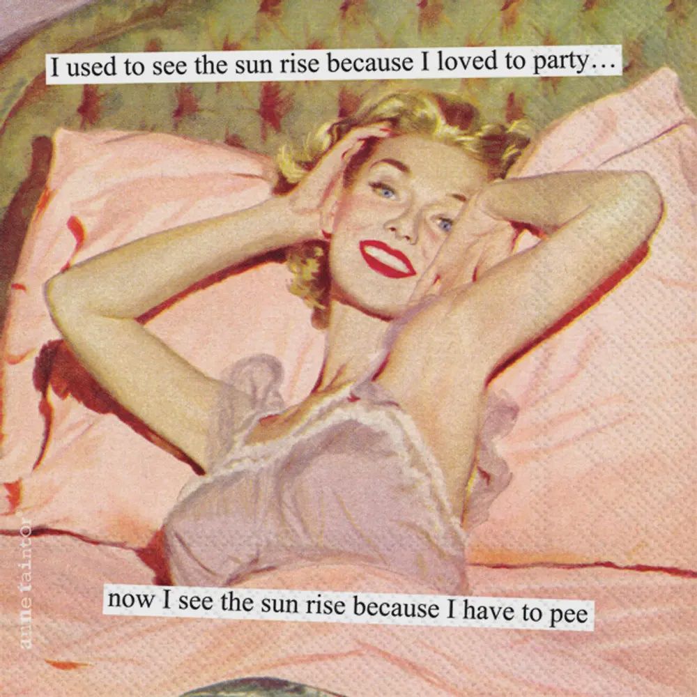 Anne Taintor Cocktail Napkins – Retro Humor