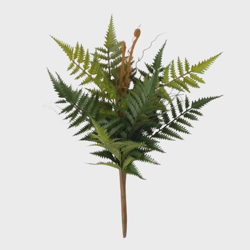 Plump &amp; Full Fern Pick