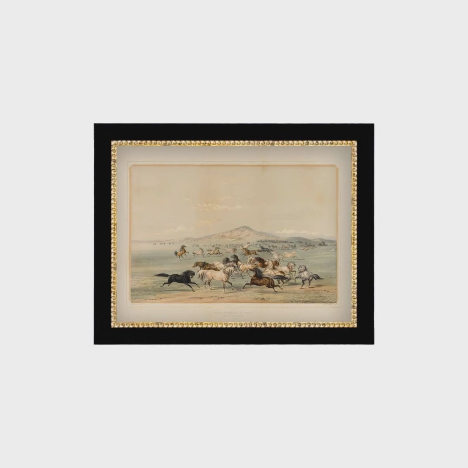 Field Of Horses Framed Antique Art: 9x7