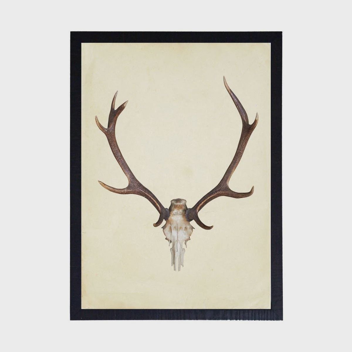 Vertical Antlers | 8&quot;x10&quot;
