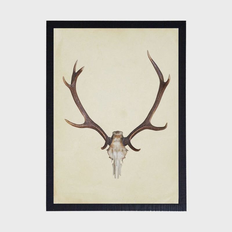 Vertical Antlers | 8&quot;x10&quot;