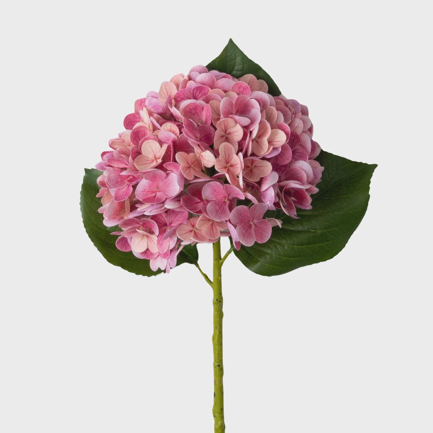 Freshcut® Vivid Fuschia Faux Spring