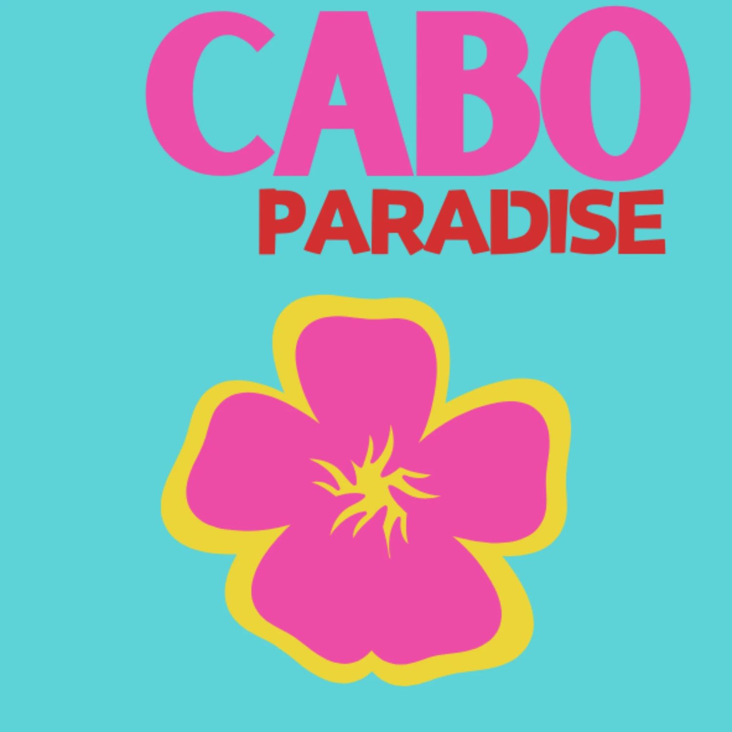 Acrylic Coasters | Cabo