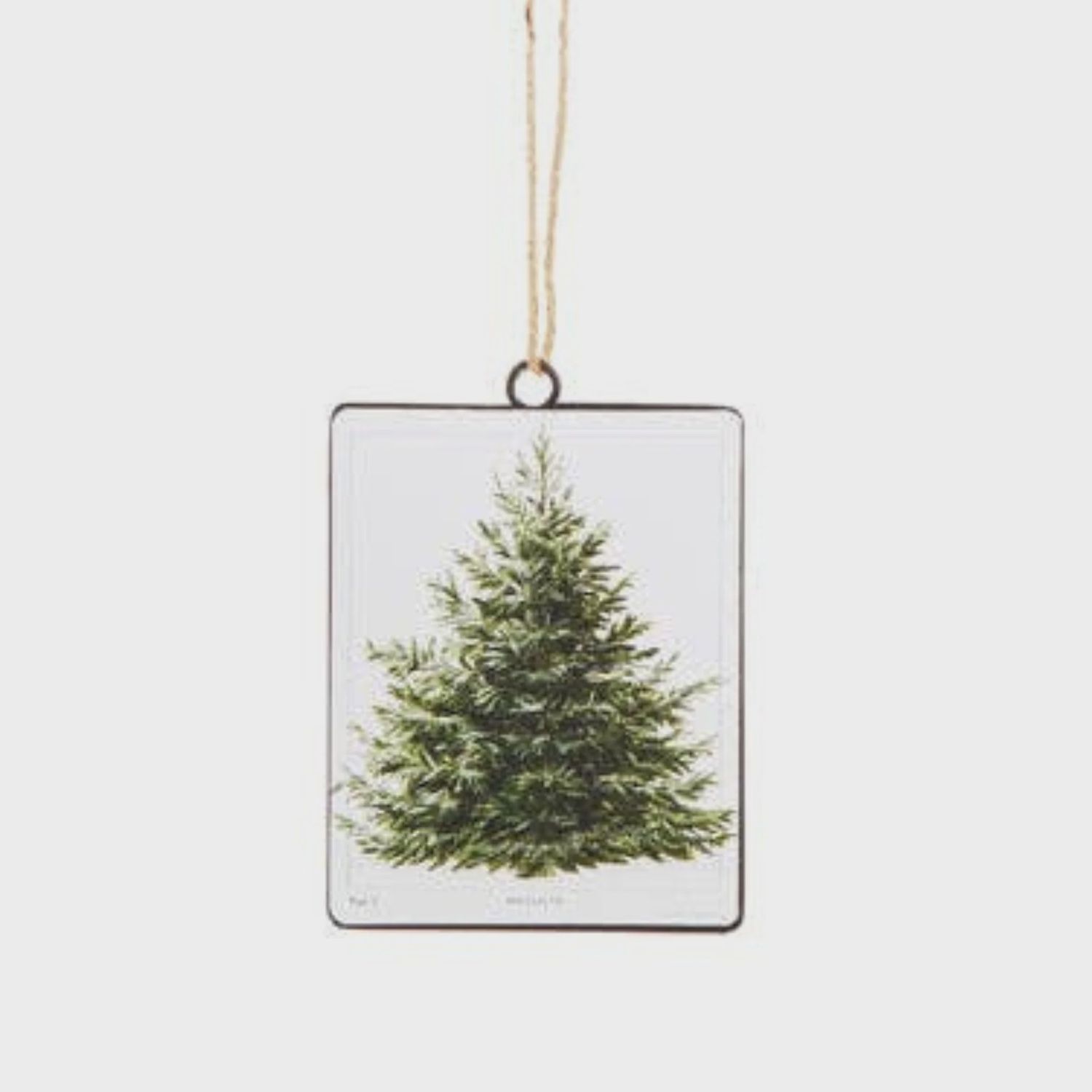 Fir Tree Disc Ornament