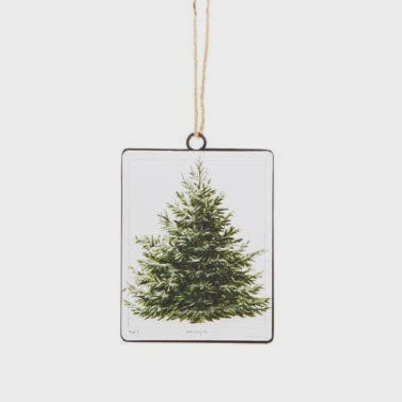 Fir Tree Disc Ornament