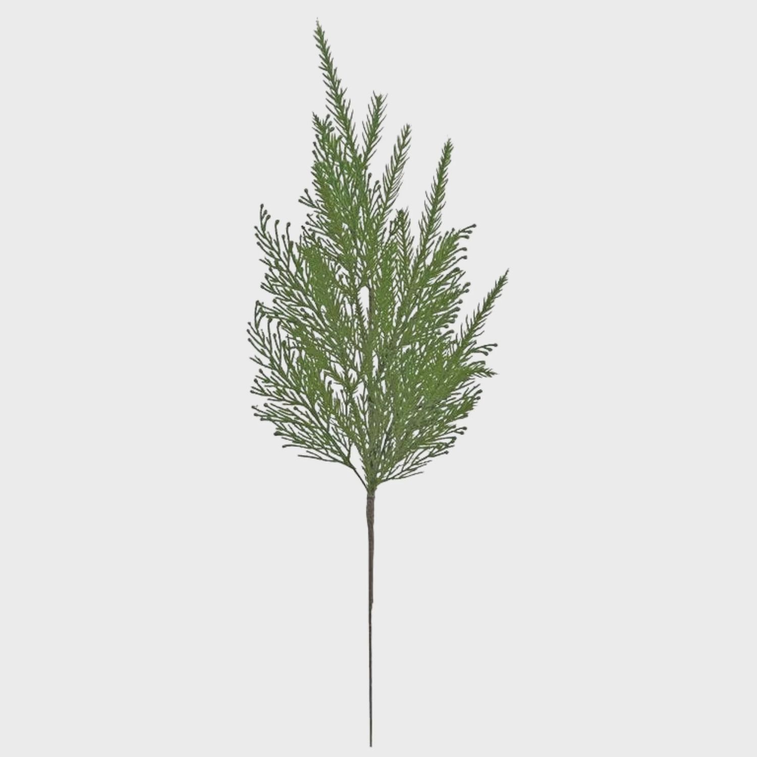 Mixed Cypress &amp; Norfolk Pine Spray - 23&quot;