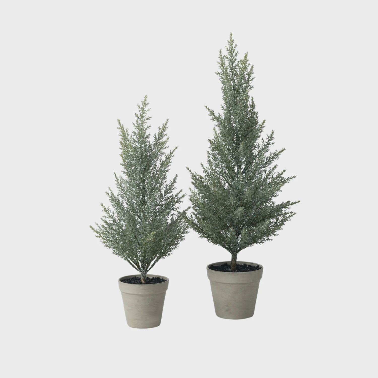 Tabletop Cedar Tree | 2 Sizes