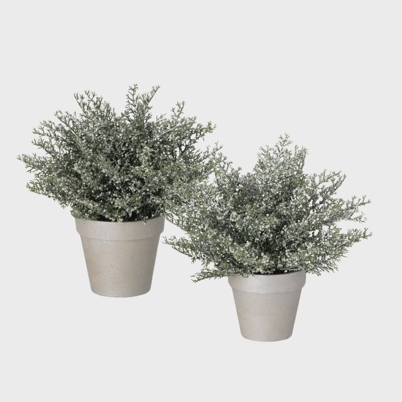 Potted White Bubble Cedar Decorative Tree | 2 Sizes