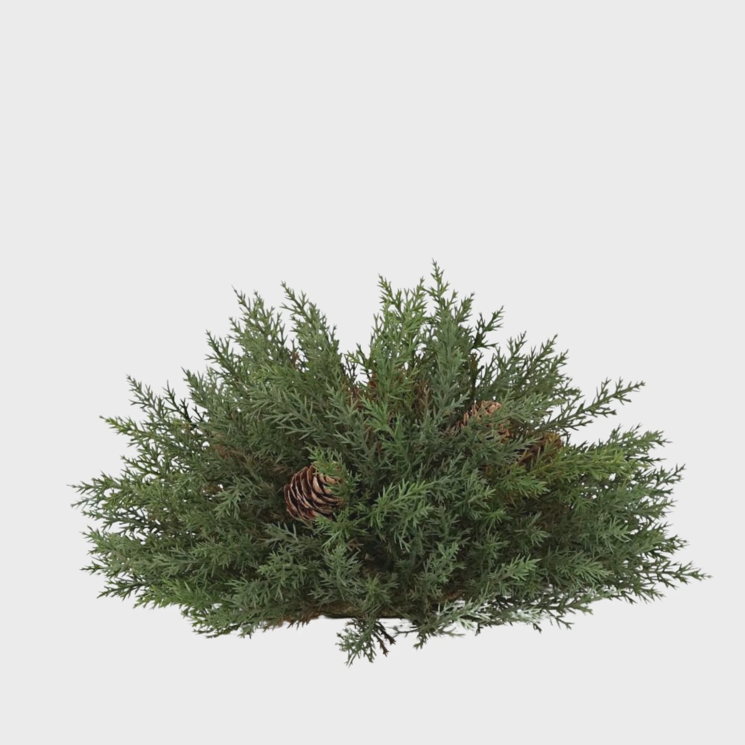 Dark Green Thyme Pine Sphere | 13&quot;