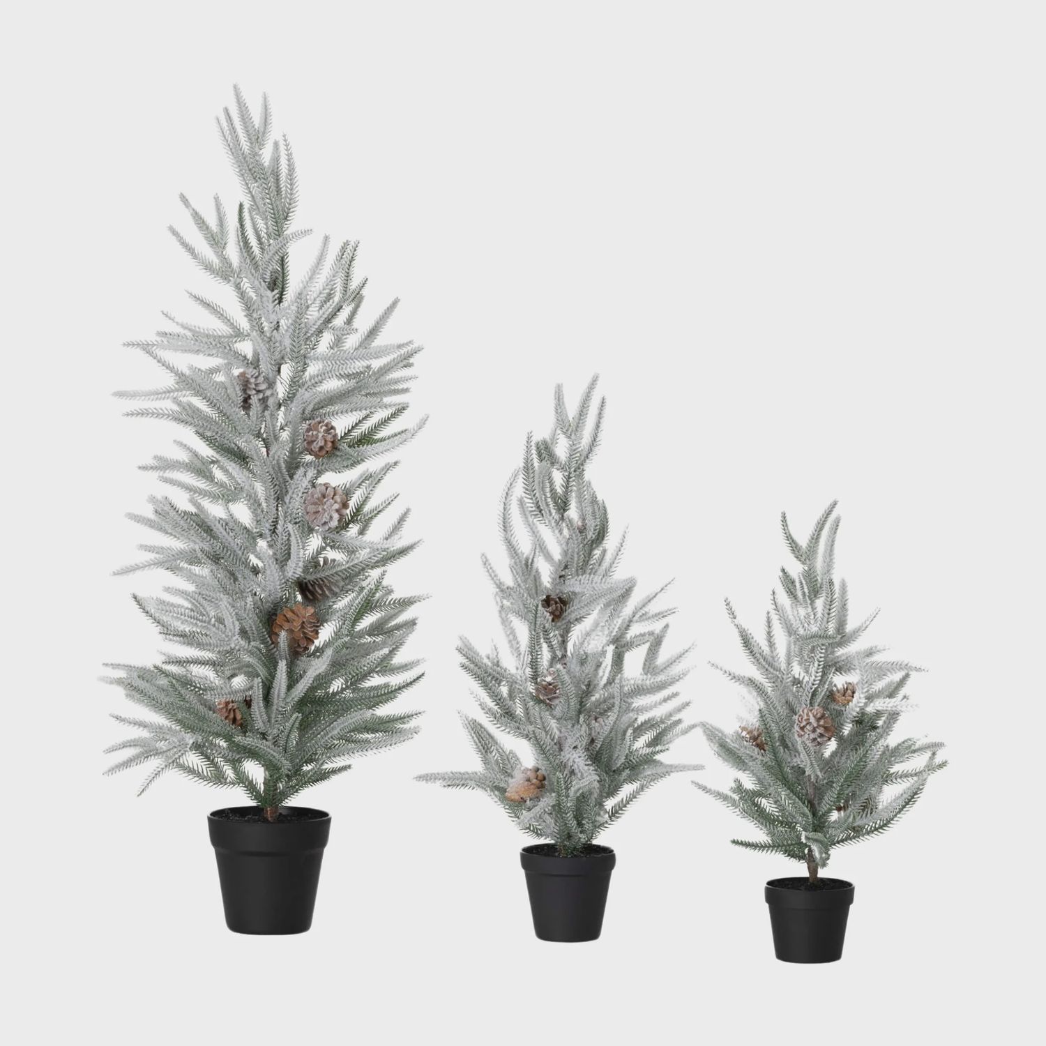Potted Snowy Pine Tree | 3 Sizes