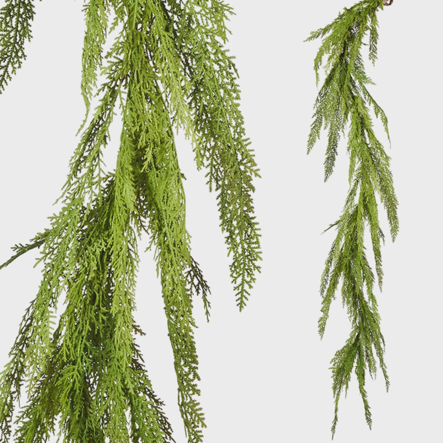 Cedar Garland | 5.5&#39;