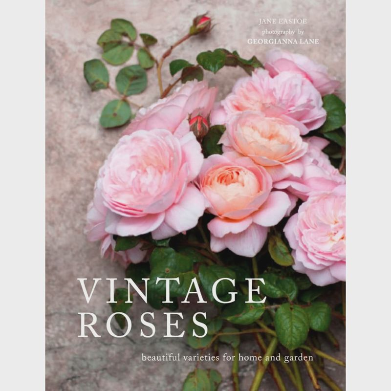 Vintage Roses: Beautiful Varieties for Home &amp; Garden