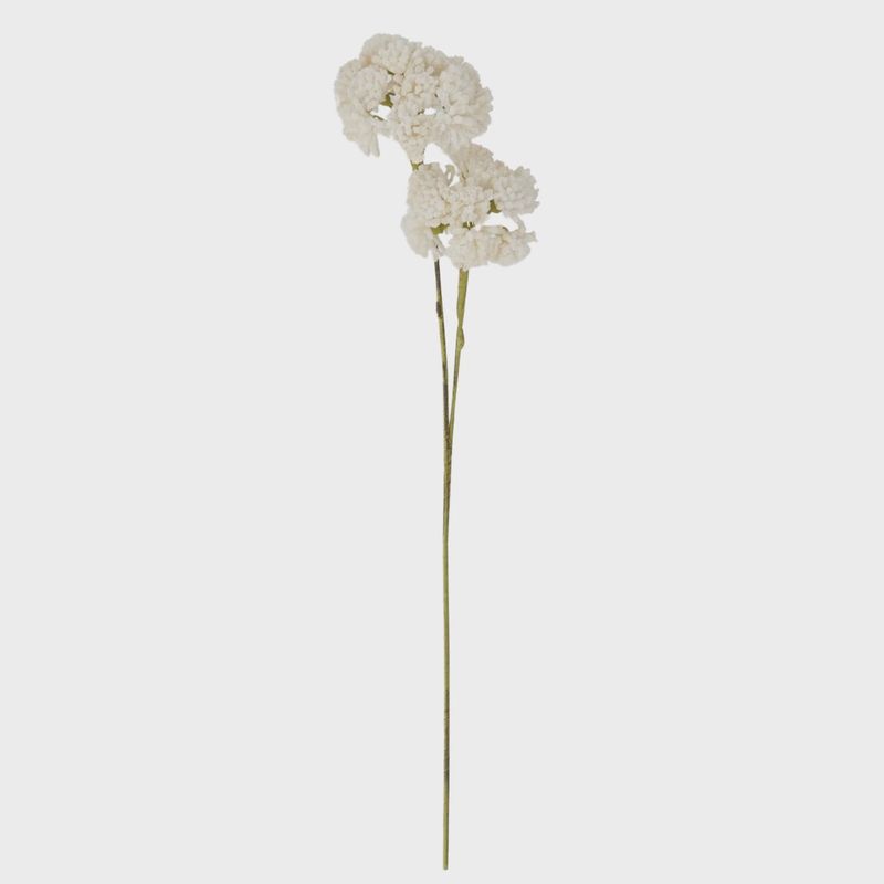 White Eva Double Bloom Stem | 34&quot;