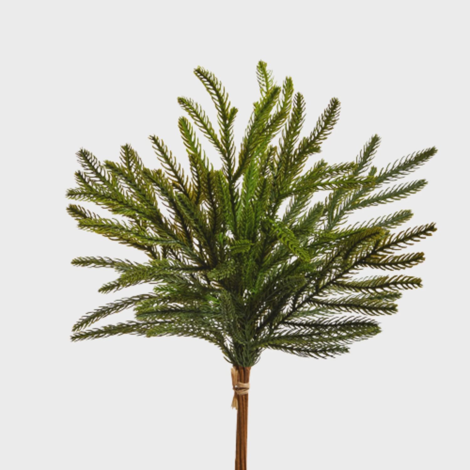 Balsam Fir Bundle | 18&quot;
