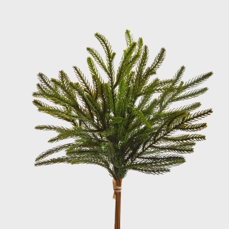 Balsam Fir Bundle | 18&quot;
