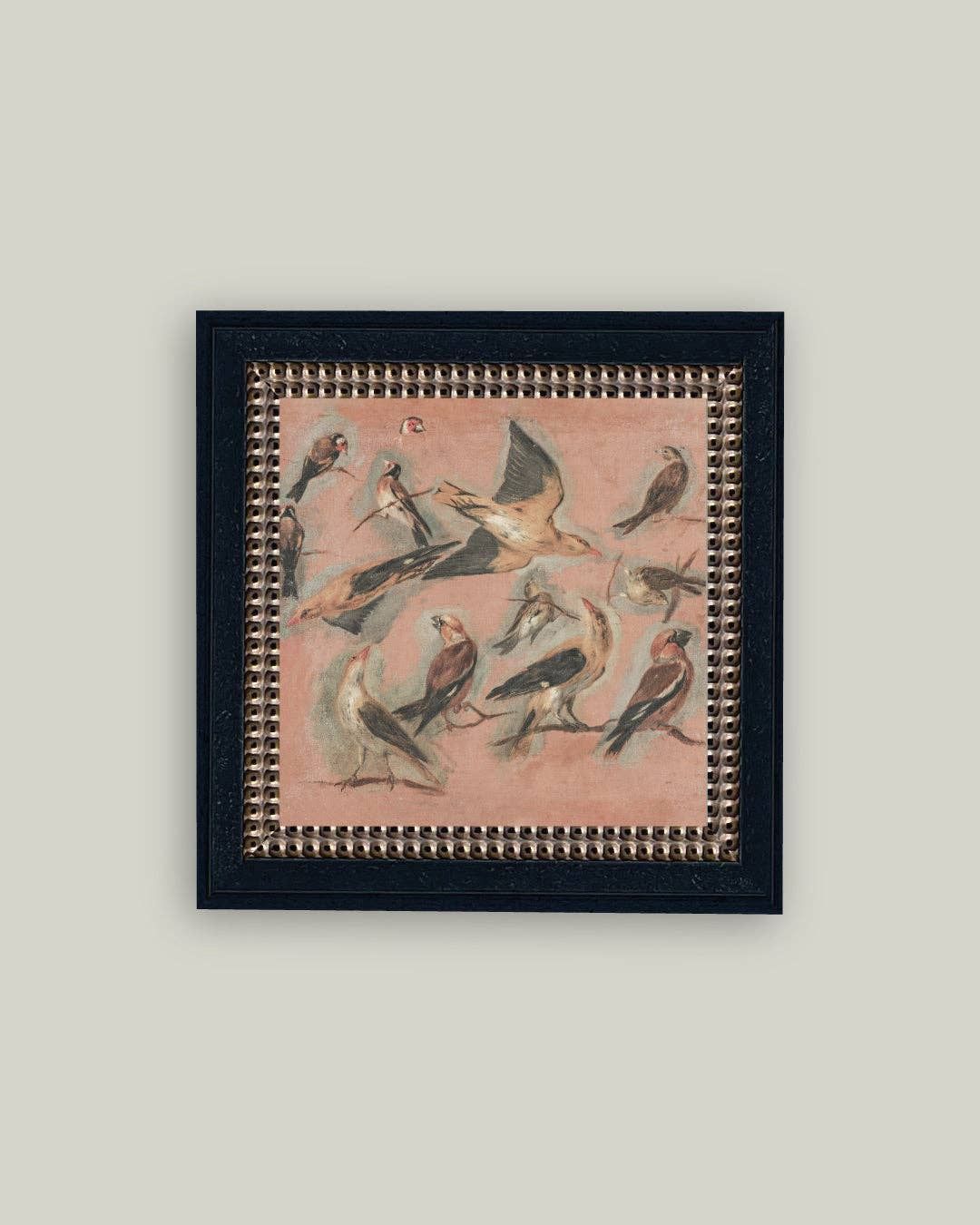 Pink Birds Framed Antique Art: 9x9