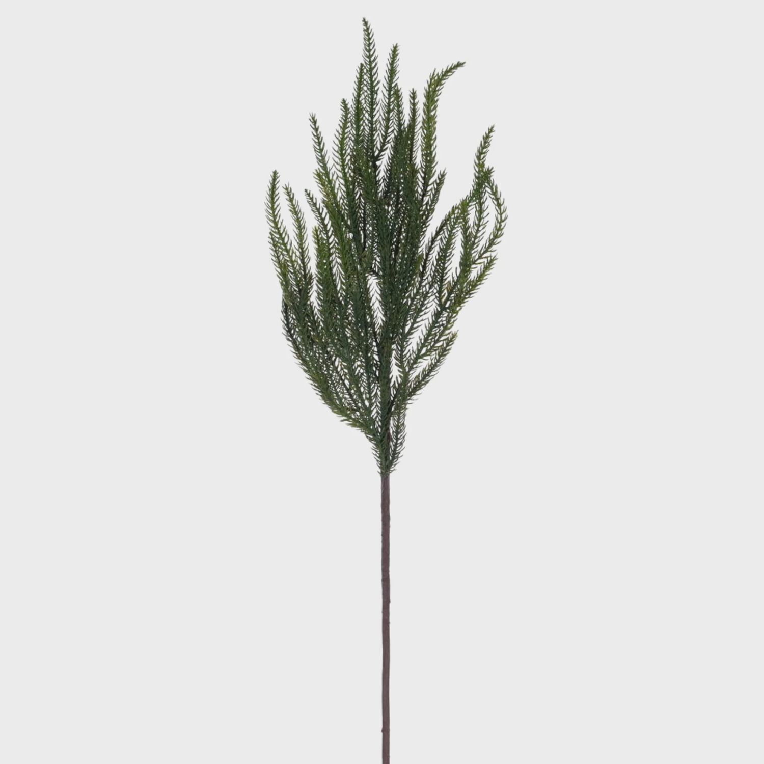 Green Norfolk Pine Spray | 24.5&quot;