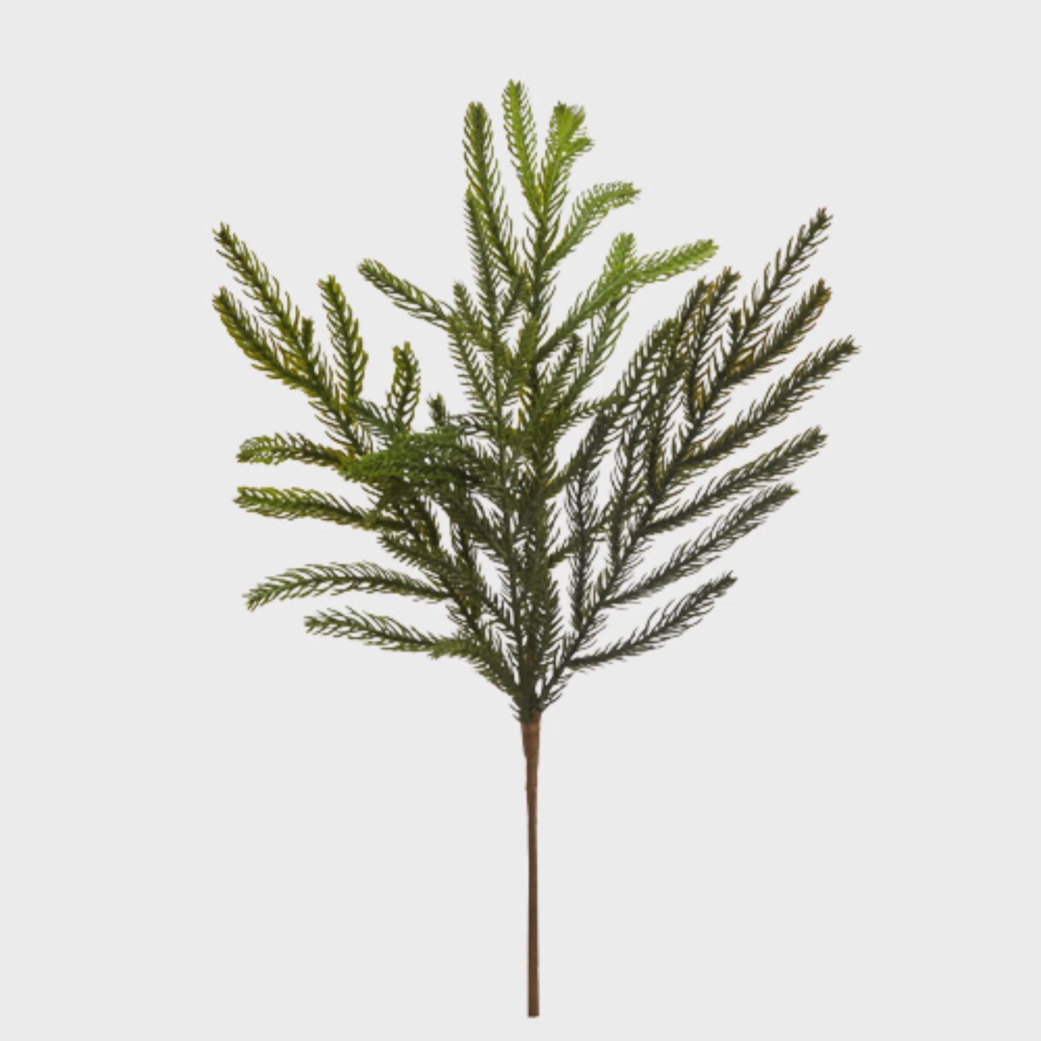 Balsam Fir Pick | 20.5&quot;