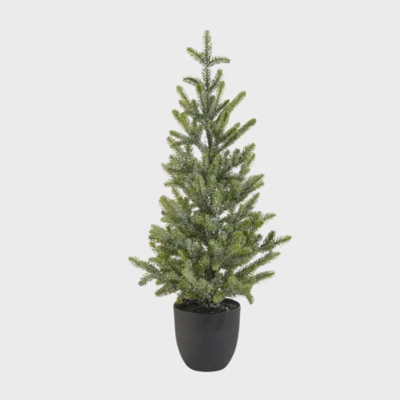 Potted Iced Fir Tree