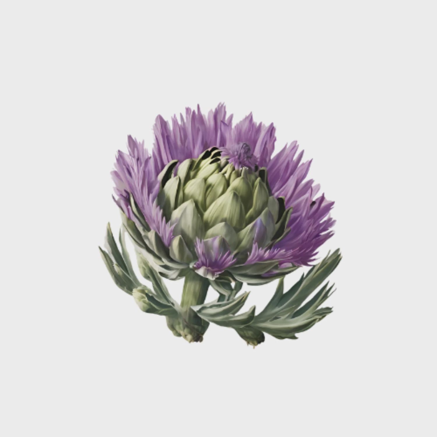 Acrylic Napkin Weight | Artichoke