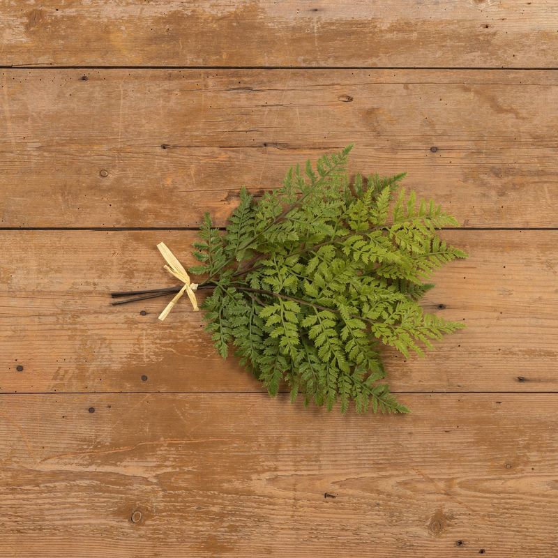 20&quot; LEATHER FERN BUNDLE