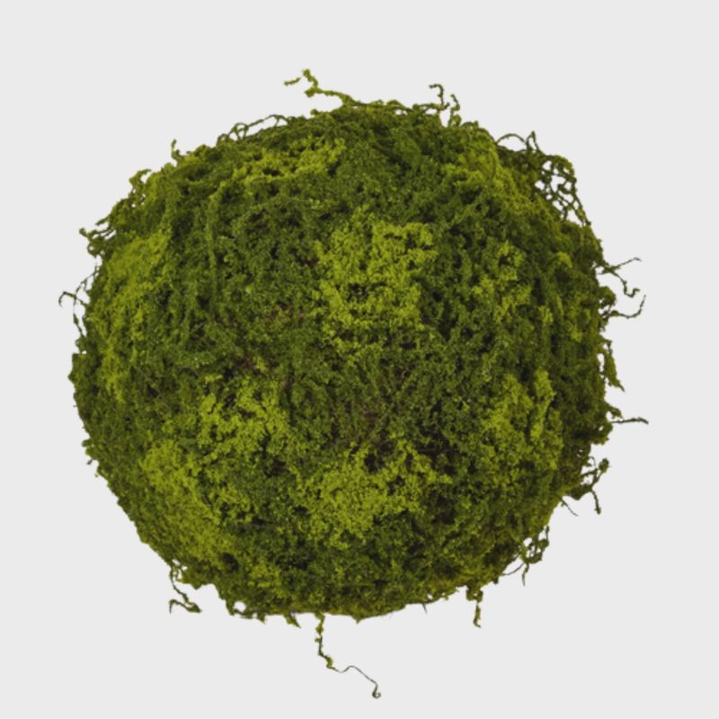 Moss Ball | 12&quot;