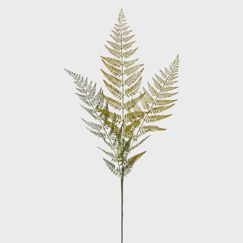 Fern Spray | 43&quot;