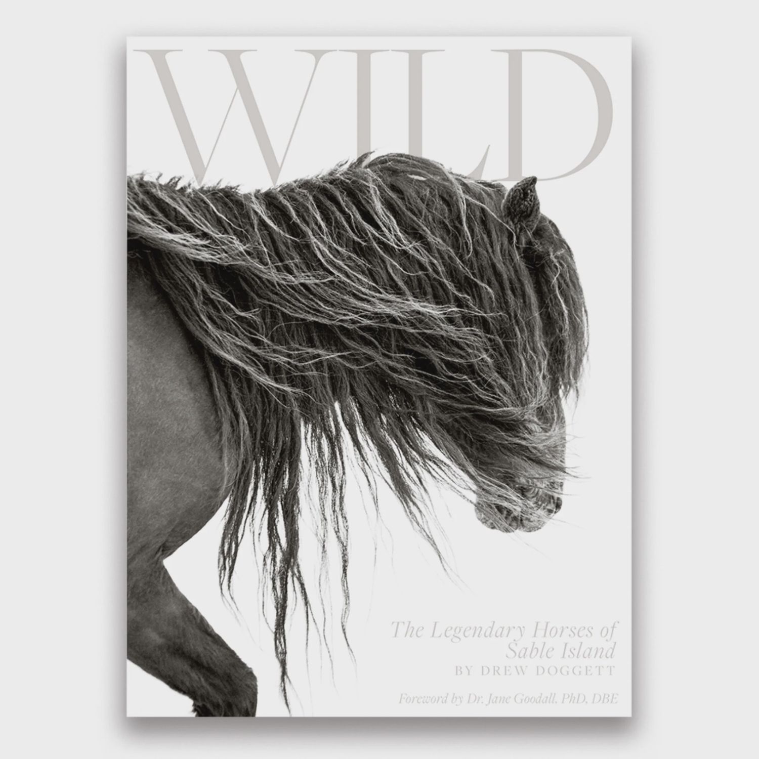 Wild: The Legendary Horses of Sable Island
