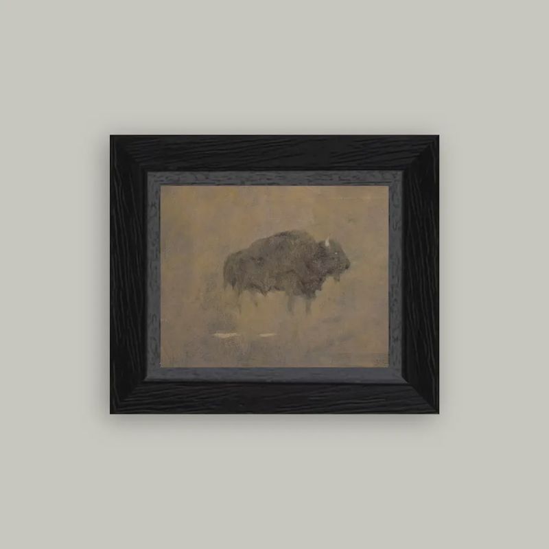 Buffalo in a Sandstorm: 6x4