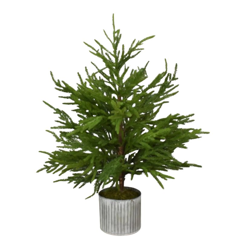 28” Norfolk Pine Tree in Galvanized Whitewash Pot