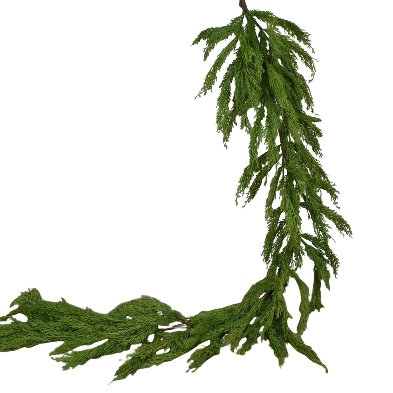 5&#39; Fresh Touch Western Red Cedar Garland