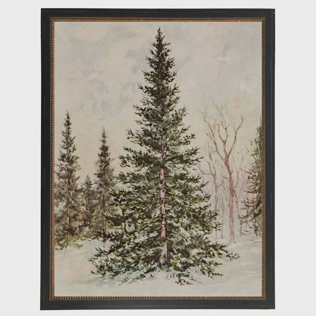 8 x 10 Tree Oil Panting