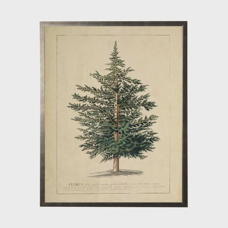 20 x 16 Cedar Tree Art