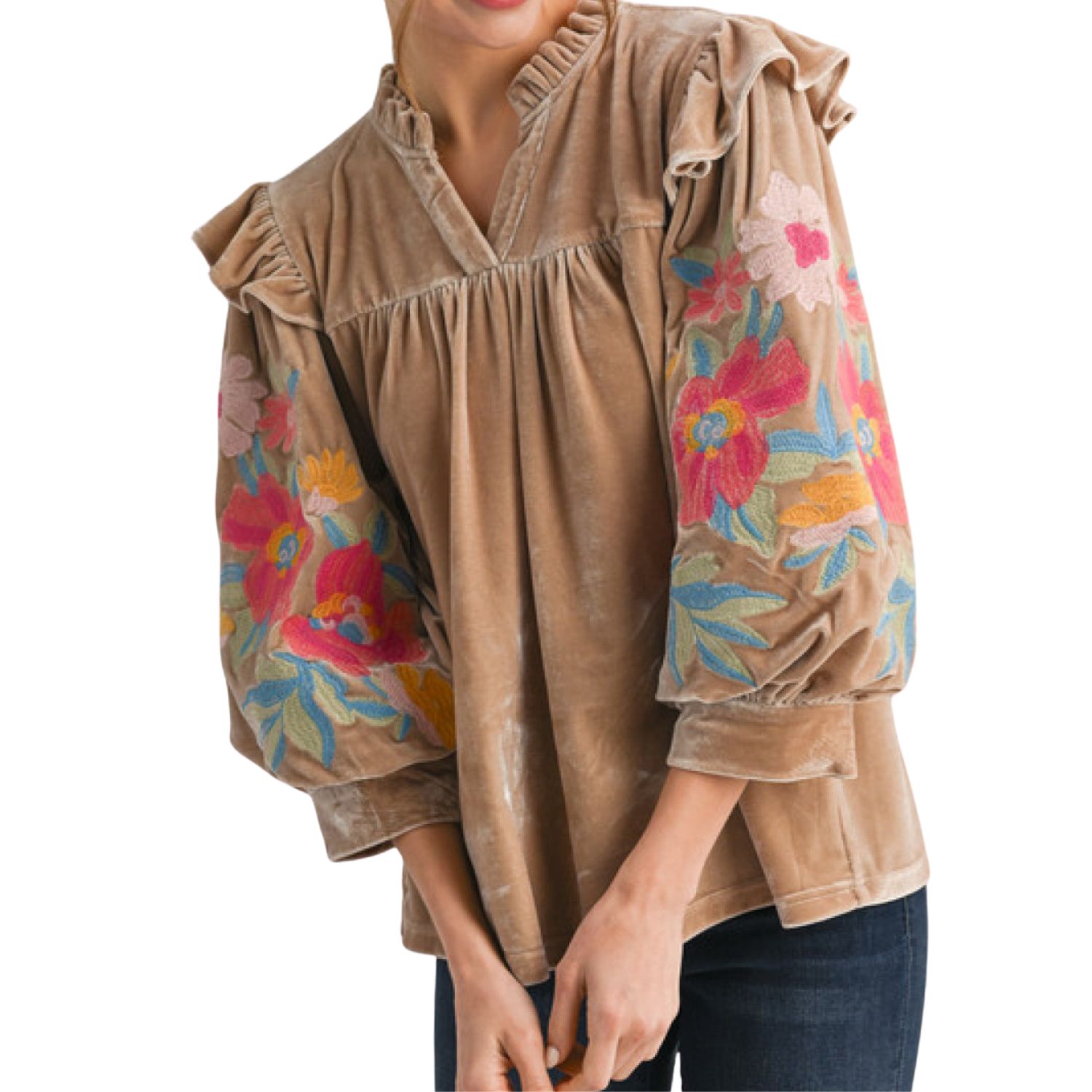 Embroidered Velvet Puff Sleeve Top – Taupe